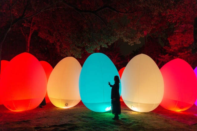 下鴨神社 糺の森の光の祭作品