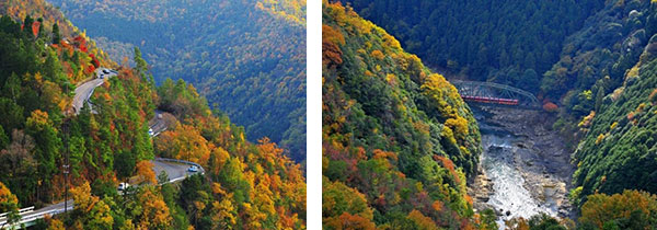 お勧めは「保津峡展望台」から見る渓谷美 絶景の紅葉が楽しめる穴場スポット「嵐山-高雄パークウエイ」 ～パークウエイ紅葉のライトアップも開催中～