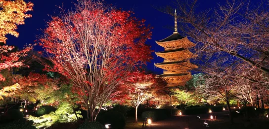 色彩豊かに紅葉する京の秋の魅力を体感「そうだ 京都、行こう。」2022年秋キャンペーンを2022年10月1日(土) ～12月11日（日）で開催！