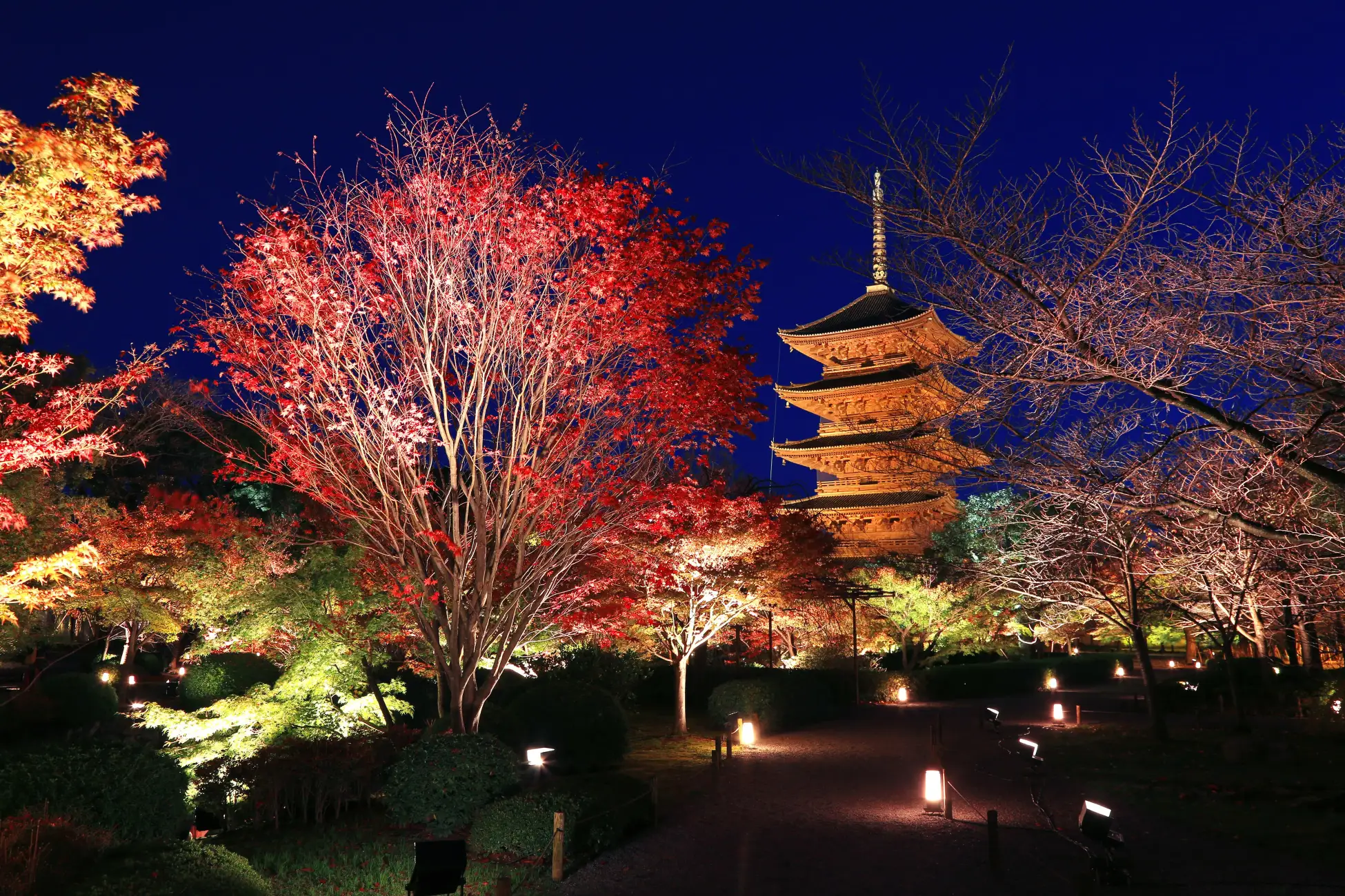 色彩豊かに紅葉する京の秋の魅力を体感「そうだ 京都、行こう。」2022年秋キャンペーンを2022年10月1日(土) ～12月11日（日）で開催！