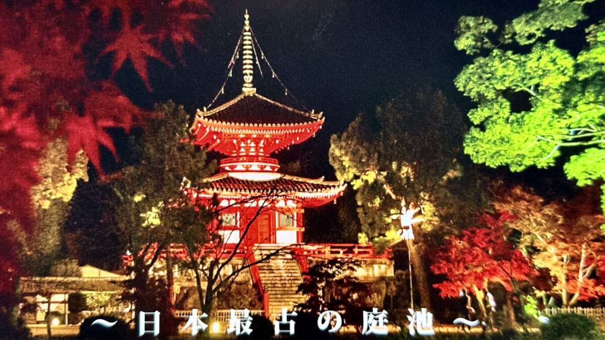 大覚寺2023年秋の大沢池ライトアップ