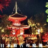 大覚寺2023年秋の大沢池ライトアップ