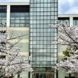 京都堀川高校の桜