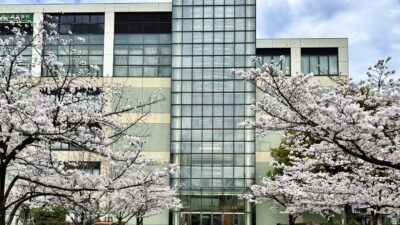 京都堀川高校の桜