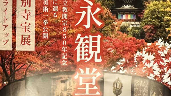 秋の永観堂（えいかんどう）夜間ライトアップ