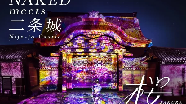 京都の世界遺産で、桜のイマーシブアートイベント『NAKED meets 二条城 2025 桜』開催決定