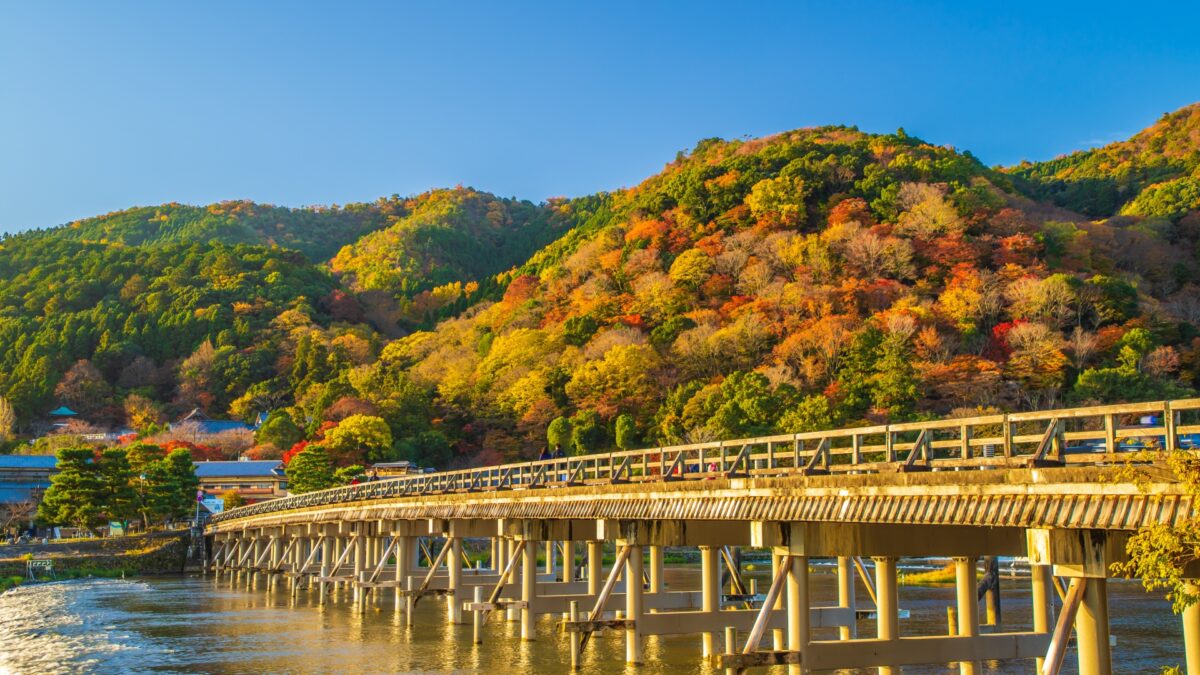 【京都の紅葉バスツアー】 嵐山散策＋智積院＋東福寺
