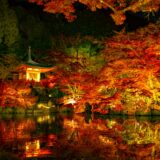 【京都の紅葉ライトアップバスツアー】 世界遺産醍醐寺＋小野小町ゆかりの隨心院