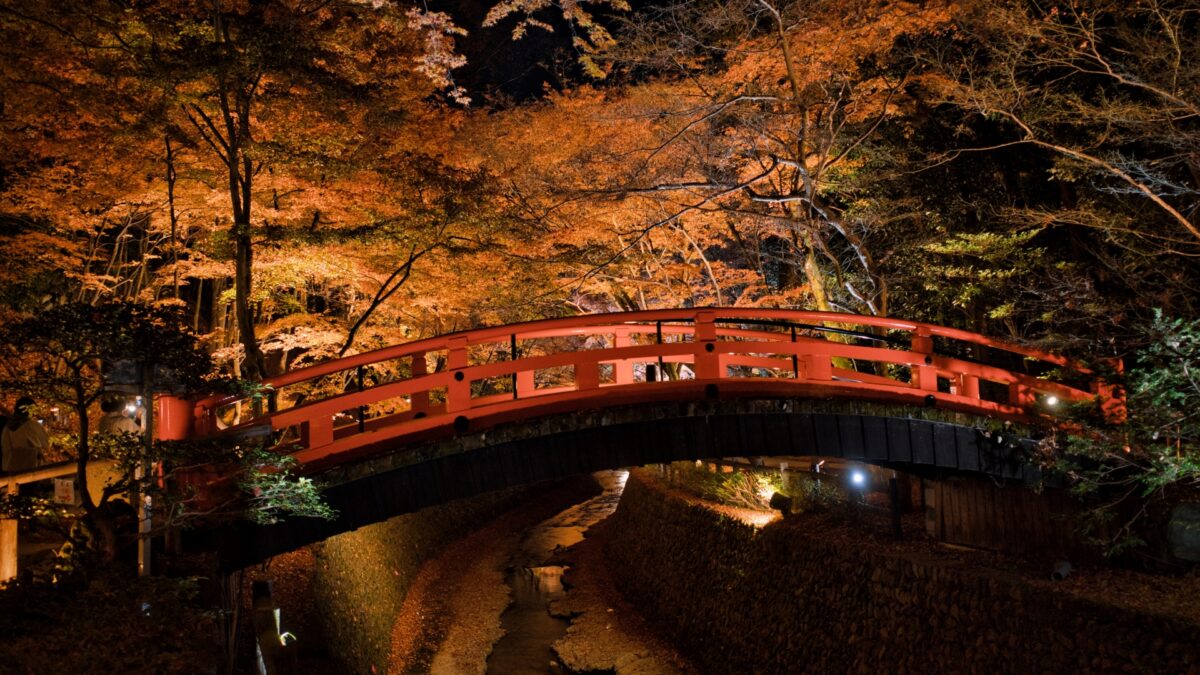 北野天満宮の紅葉ライトアップ鑑賞