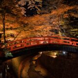 北野天満宮の紅葉ライトアップ鑑賞