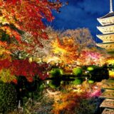 ライトアップ 東寺