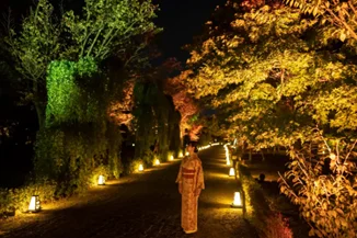 （2025/10/11～11/30）【京都の秋の特別拝観】大徳寺総見院 織田信長公の菩提寺を拝観800円