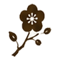 華やかさアイコン