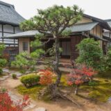 【京都の秋の特別拝観】大徳寺総見院 織田信長公の菩提寺を拝観