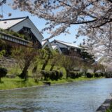 京の新酒とクラフトビールを楽しむほろよいコース