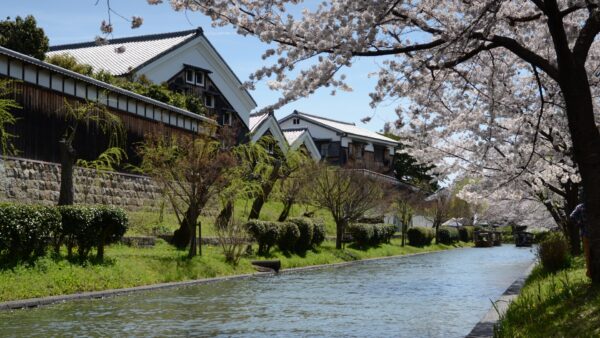 京の新酒とクラフトビールを楽しむほろよいコース（1月～3月）＜京都駅発＞