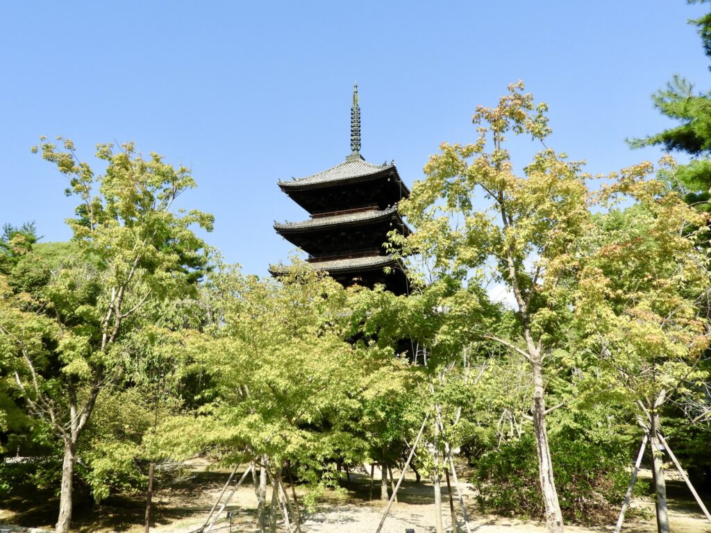 特別公開 仁和寺 観音堂＋東寺 五重塔＋光清寺