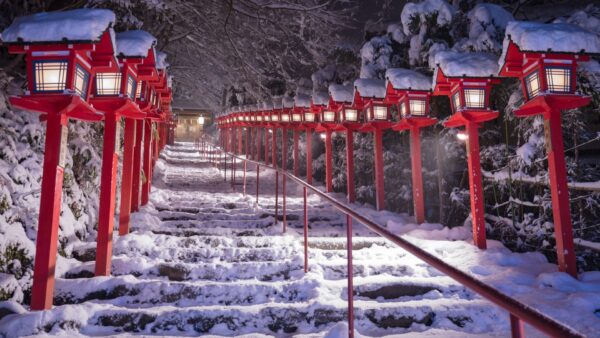 ★【京都師走のバスツアー】貴船神社＋妙満寺＋智積院（2025/12/13～21）＜昼食付／京都駅発＞