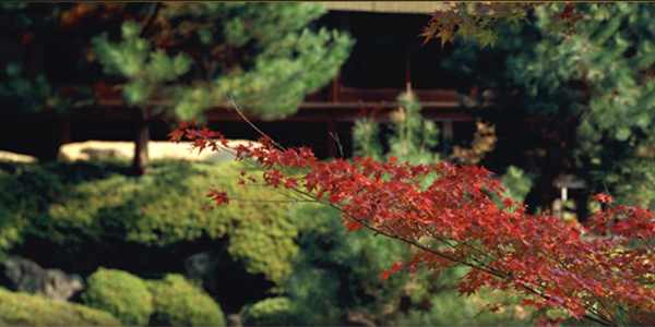 京都「しょうざん」