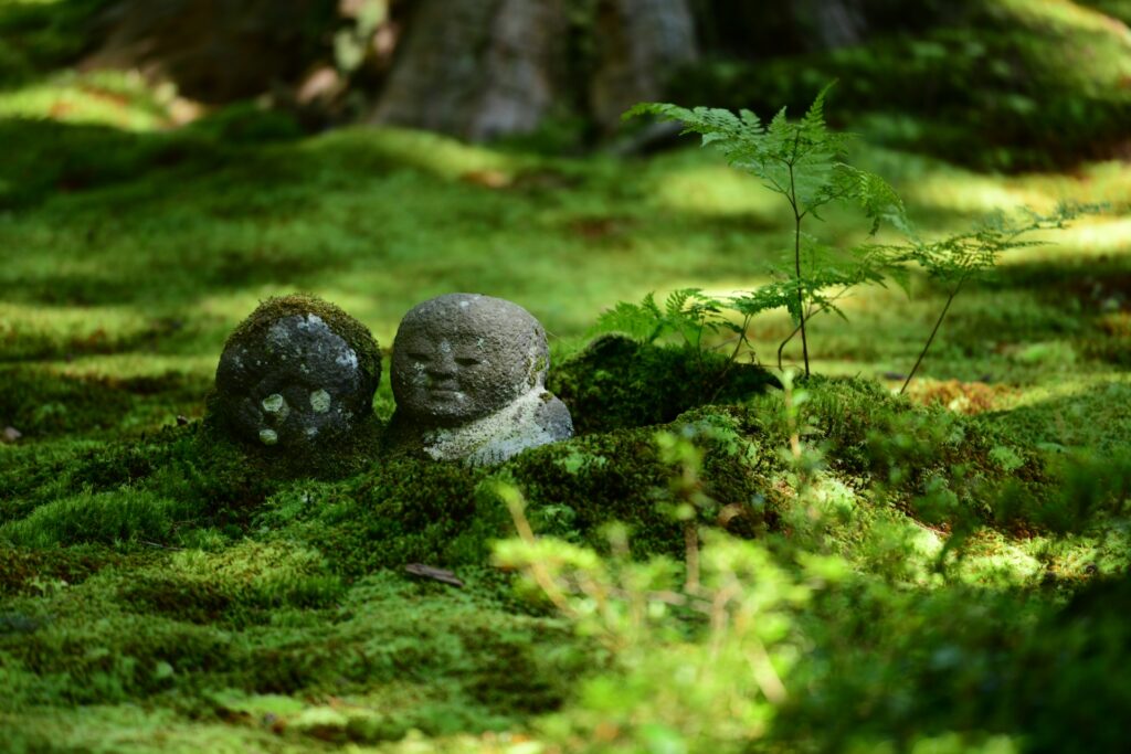 三千院の大根焚きと大原散策+南禅寺