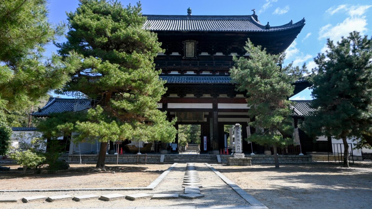 梅の名所と宇治めぐり 隨心院＋萬福寺＋平等院＋三室戸寺