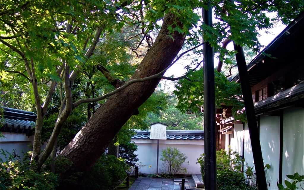 宗教法人退蔵院拝観チケット