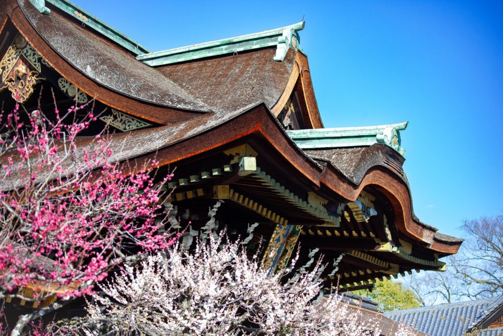 【京都のバスツアー】北野天満宮 梅苑＋智積院＋雲龍（2026/2/16～27）＜昼食付/京都駅発＞