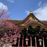 ★【京都のバスツアー】北野天満宮 梅苑＋智積院＋雲龍院（2026/2/16～27）＜昼食付/京都駅発＞