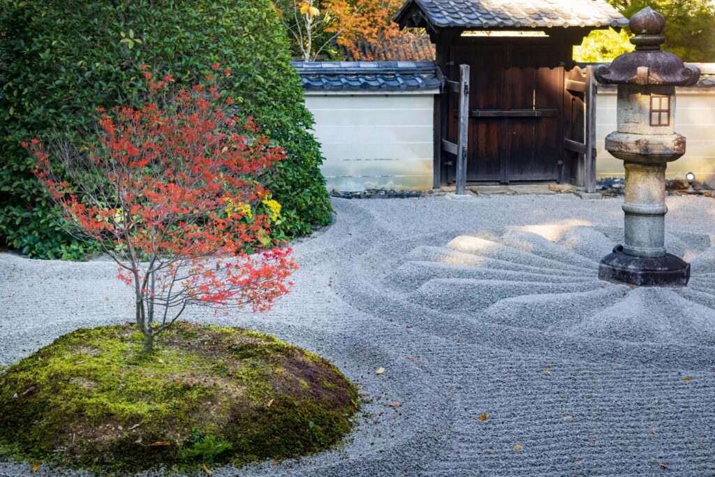 【京都のバスツアー】北野天満宮 梅苑＋智積院＋雲龍（2026/2/16～27）＜昼食付/京都駅発＞