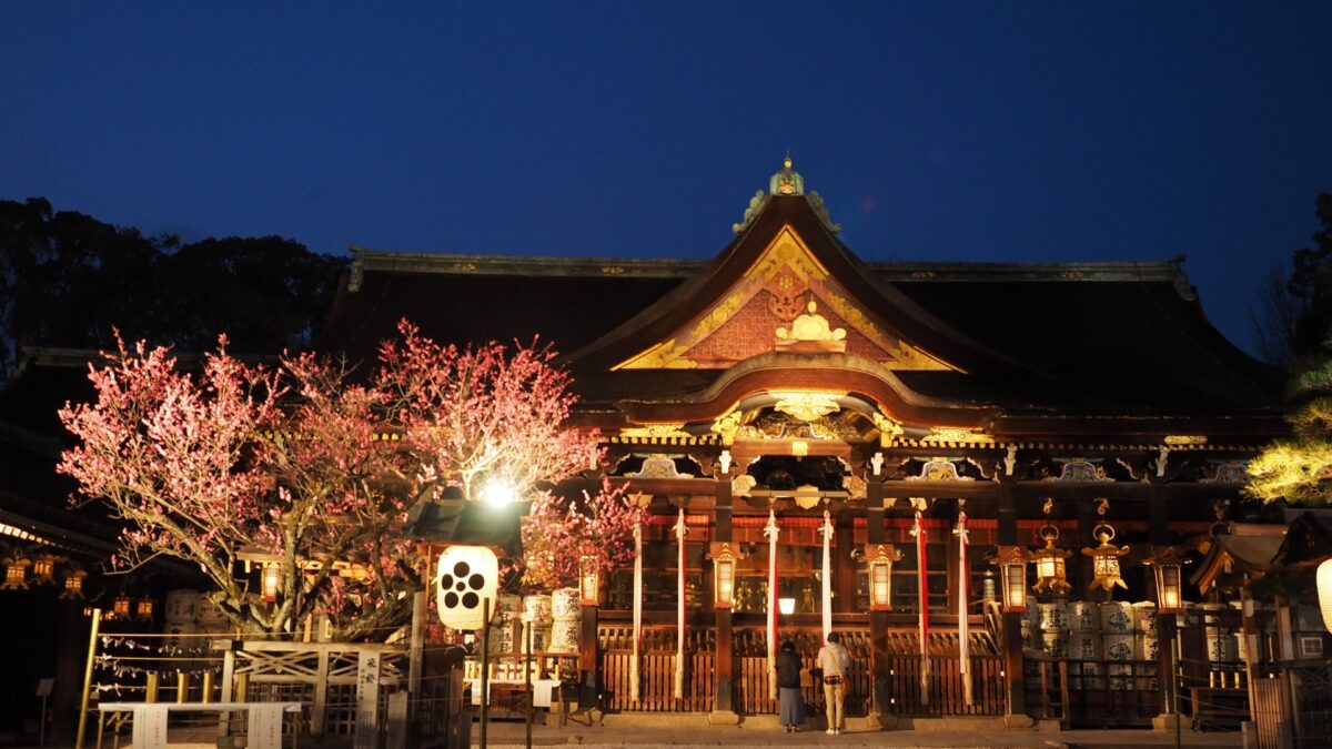 北野天満宮の梅苑ライトアップ鑑賞と舞妓はんとの夕べ