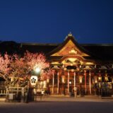 北野天満宮の梅苑ライトアップ鑑賞と舞妓はんとの夕べ