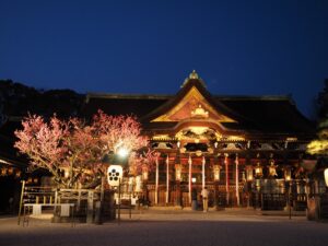 北野天満宮の梅苑ライトアップ鑑賞と舞妓はんとの夕べ