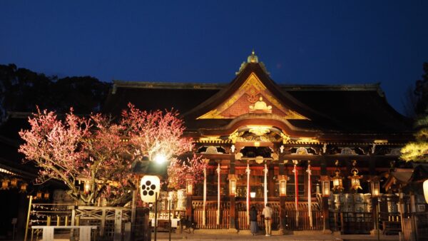 北野天満宮の梅苑ライトアップと舞妓さんの舞踊鑑賞しながらの懐石風京料理の夕食（2026/2/20～3/7）