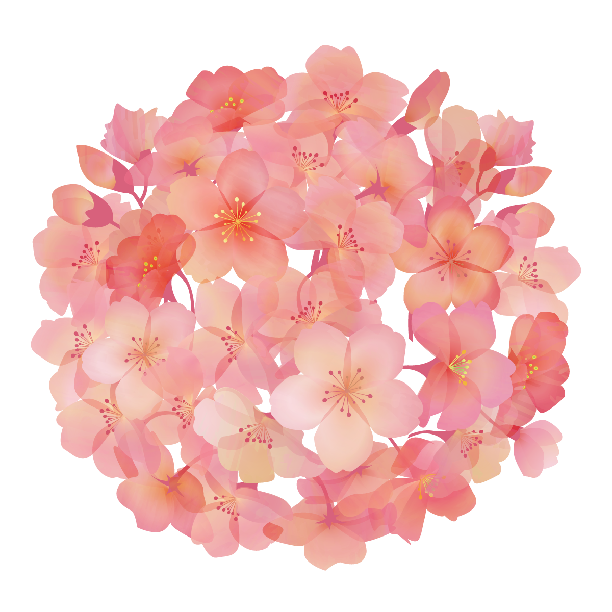 京都でお遍路さんができるって本当ですか！3時間で巡る四国八十八ヶ所霊場を巡礼