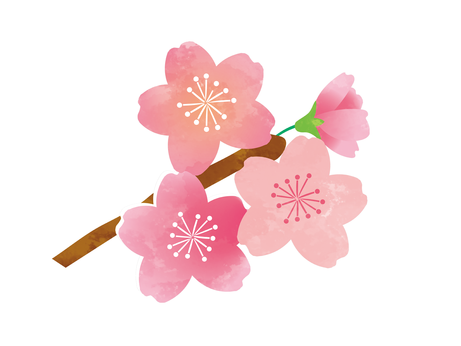 京都でお遍路さんができるって本当ですか！3時間で巡る四国八十八ヶ所霊場を巡礼