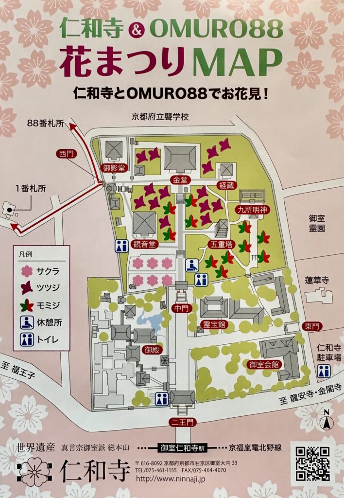 世界遺産門跡寺院「仁和寺散策」