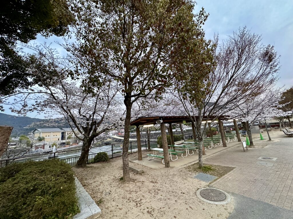 京都市動物園2日間限りの「春の夜間開園」