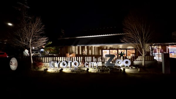 京都市動物園2日間限りの「春の夜間開園」2026年3月28日（土）～3月29日（日）