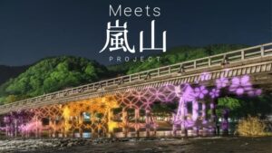 嵐山渡月橋ライトアップ