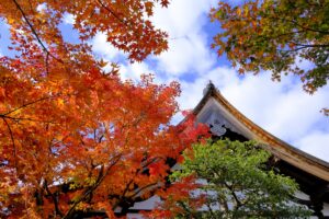 大徳寺黄梅院 特別公開 織田信長や豊臣秀吉ゆかりの歴史スポットへ 千利休作庭の名庭と桃山時代の芸術を堪能
