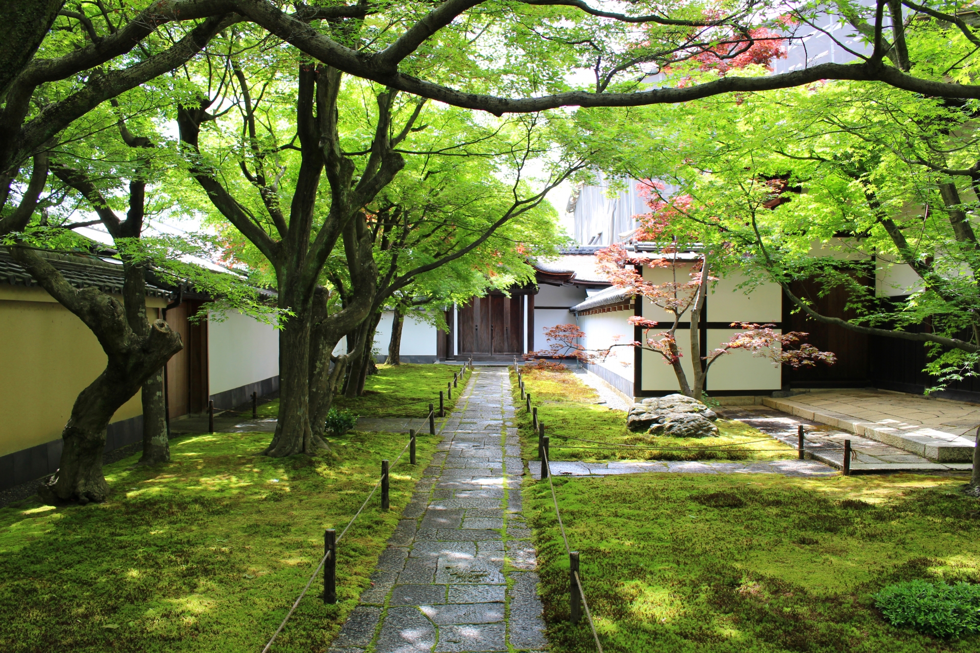 大徳寺黄梅院 特別公開 織田信長や豊臣秀吉ゆかりの歴史スポットへ 千利休作庭の名庭と桃山時代の芸術を堪能