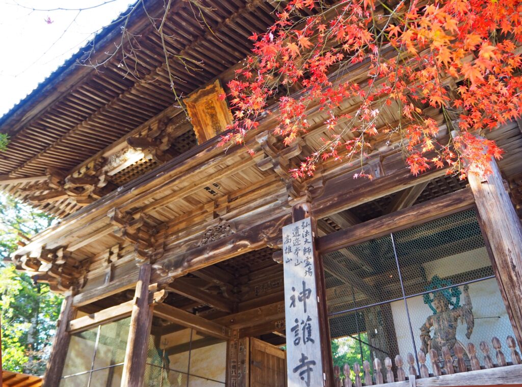 嵐山・高尾ぐるっとパス(嵐電:JR高尾京北線(京都駅〜栂ノ尾間)1日乗り放題