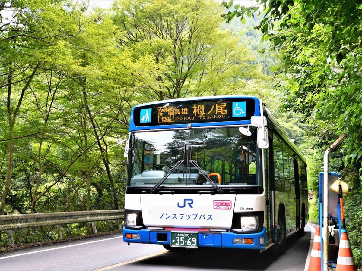 日頃の雑踏から逃れ、山のパワーを感じたい方「嵐山。高尾ぐるっとパス」