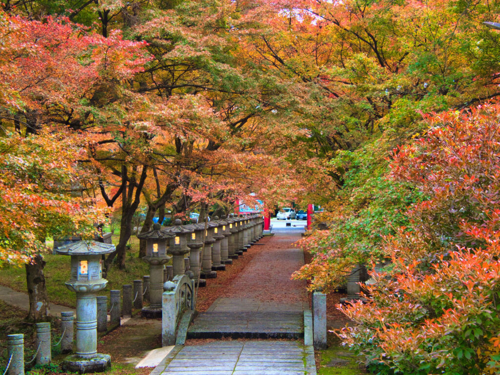 嵐山・高尾ぐるっとパス(嵐電:JR高尾京北線(京都駅〜栂ノ尾間)1日乗り放題