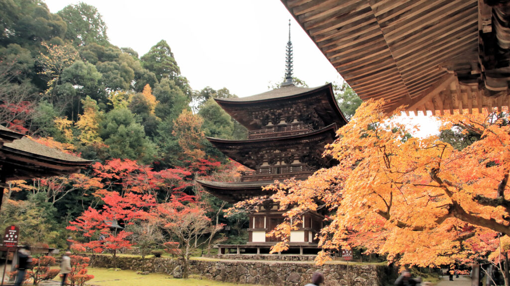 嵐山・高尾ぐるっとパス(嵐電:JR高尾京北線(京都駅〜栂ノ尾間)1日乗り放題
