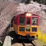 ★【京都駅発 夜桜ライトアップバスツアー】嵯峨野トロッコ列車 春のライトアップ＆イルミネーションを満喫（2026/3/27～4/5）