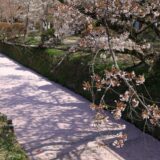 ★【京都駅発 桜の名所バスツアー】銀閣寺＋哲学の道＋平野神社（2026/3/27～4/5）