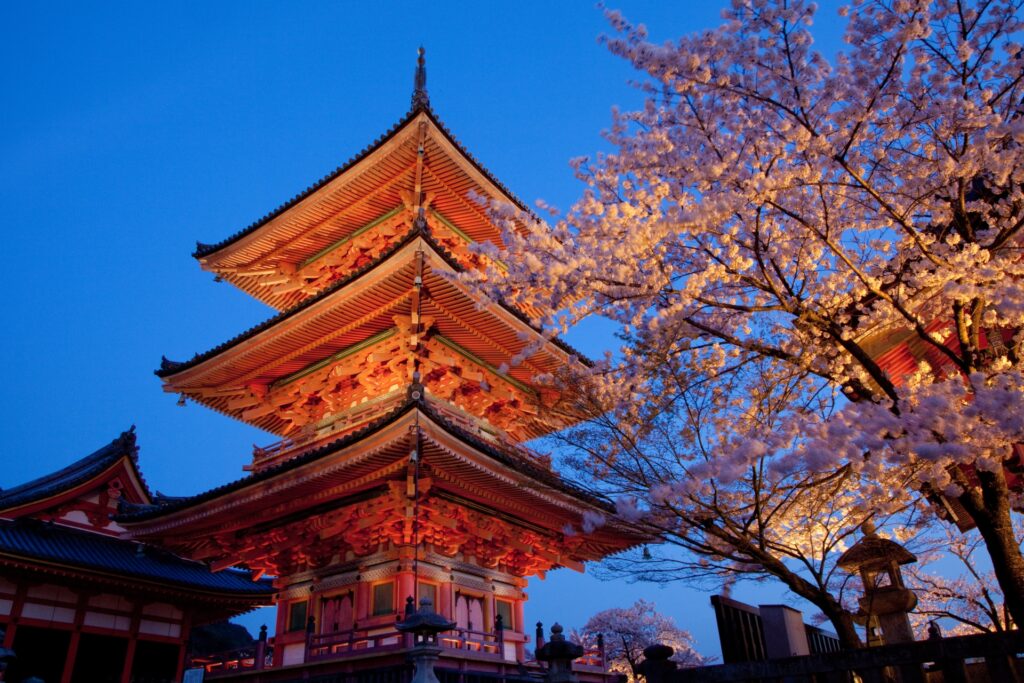 【京都駅発 夜桜ライトアップバスツアー】桜色に染まる知恩院 友禅苑と清水寺