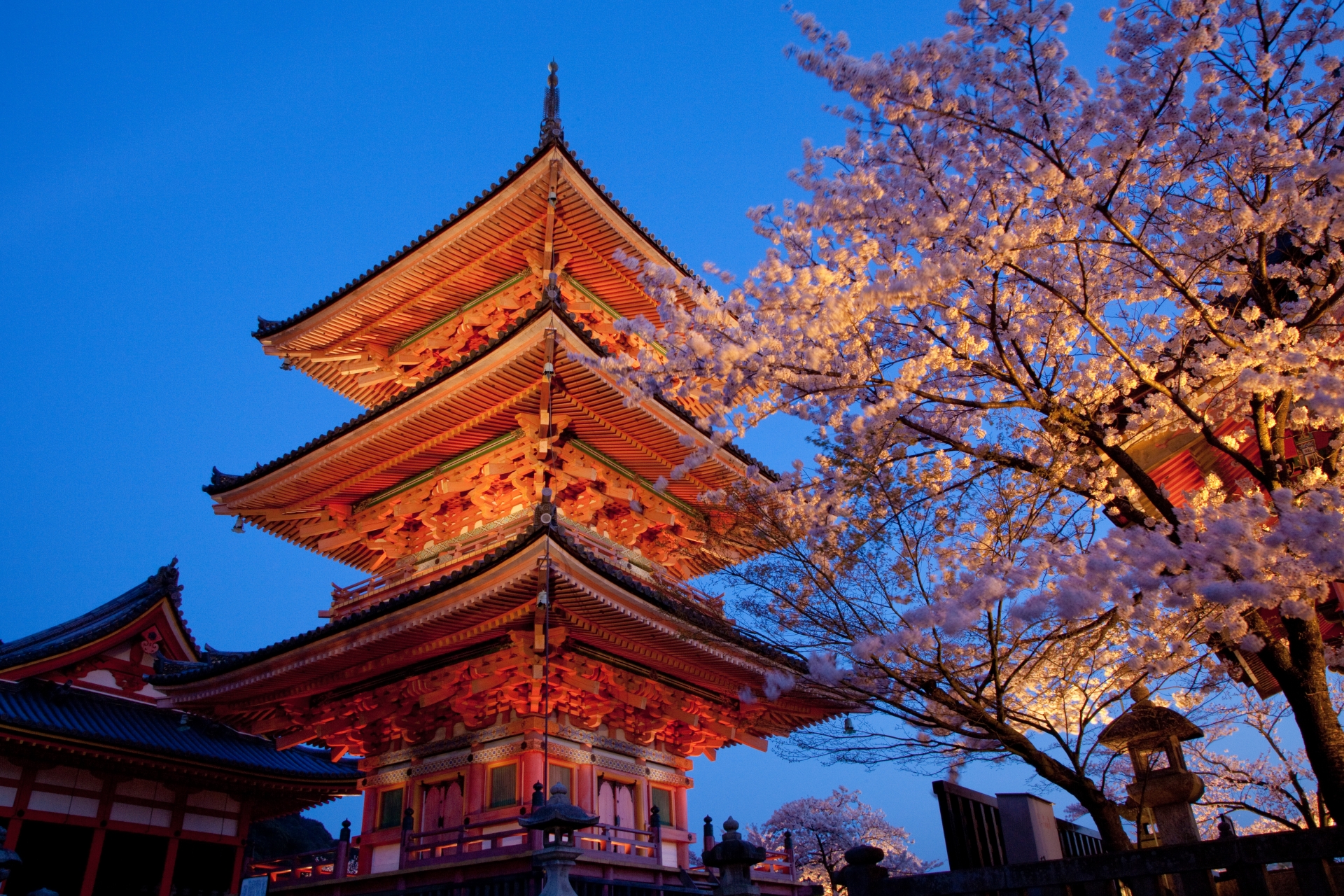 【京都駅発 夜桜ライトアップバスツアー】桜色に染まる知恩院 友禅苑と清水寺