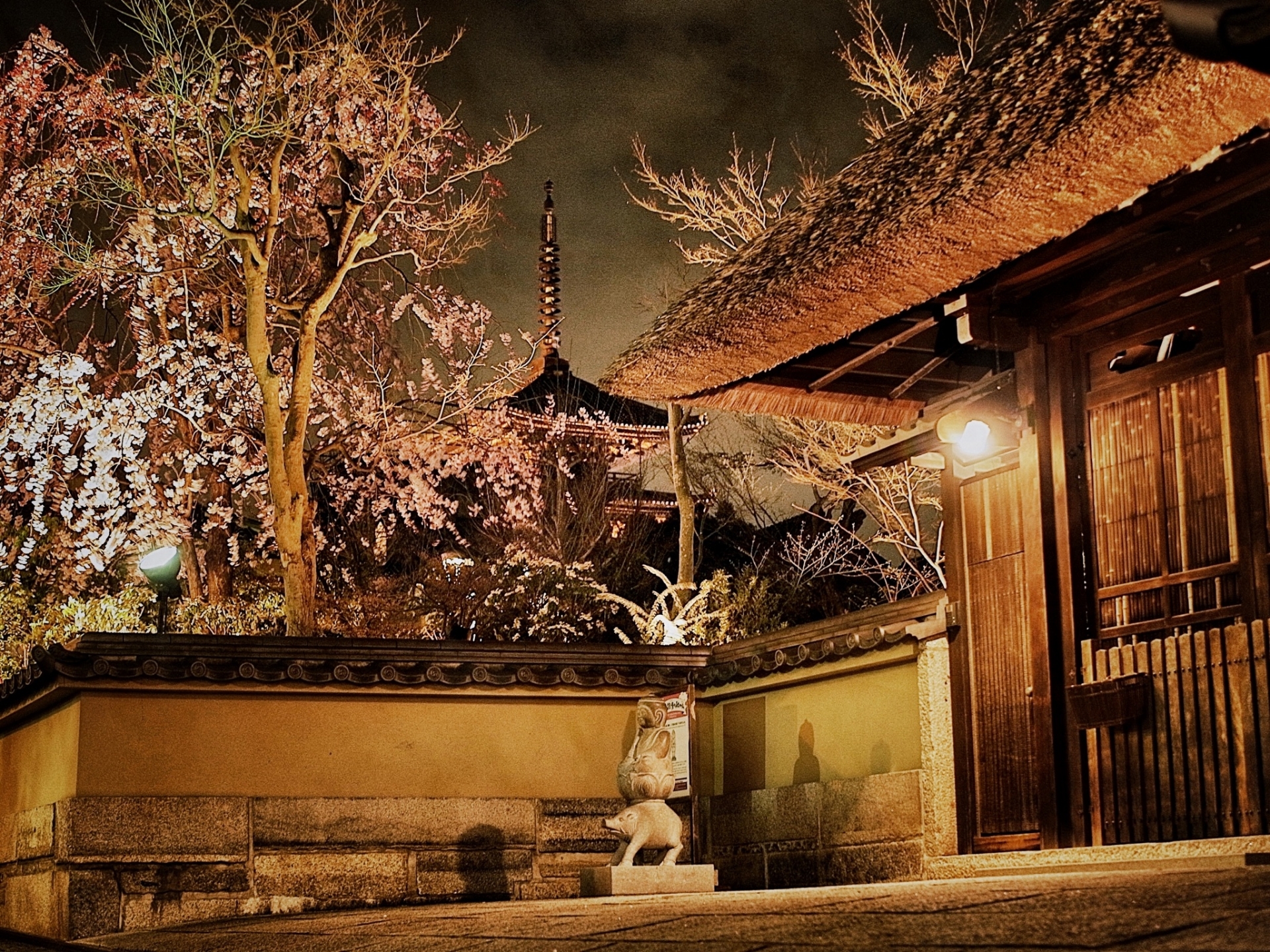 高台寺＆圓徳院 春の夜間特別拝観